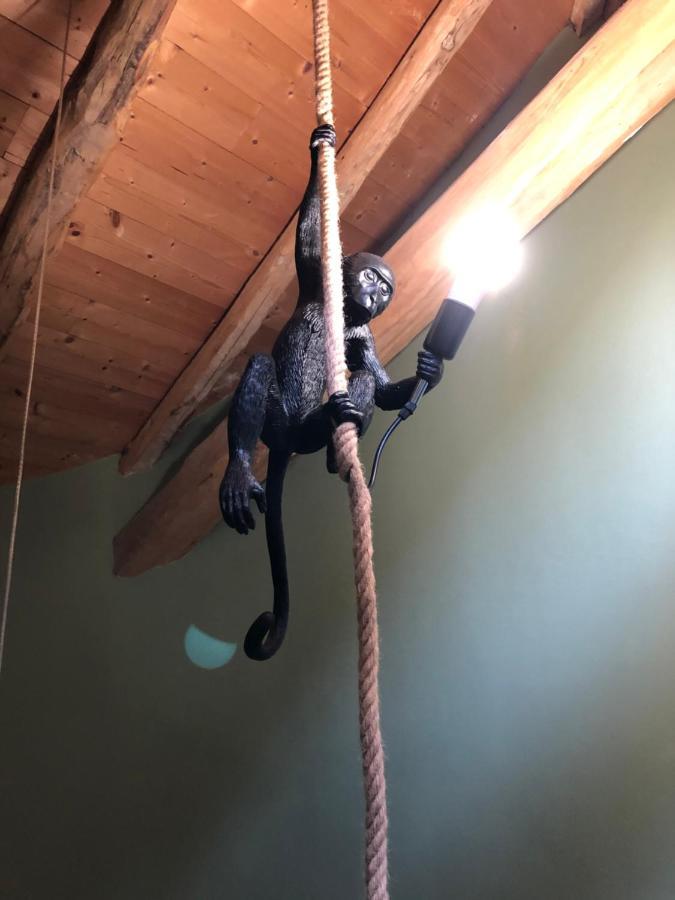 La Maison D'Obinat Auzas Luaran gambar